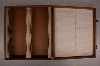 Media type: image;   Special Collections 3514 documents cataloged_item 3515 documents cataloged_item 3516 Description: Digital photo of Northcutt box to document exterior and interior text.;